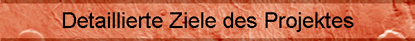 Detaillierte Ziele des Projektes